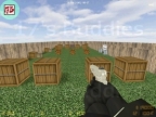 DM_BACKYARD