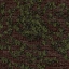 PARA_STREET