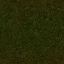 DE_HAGA