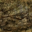 CASS_ROCK