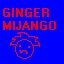 GINGER