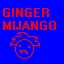 GINGER