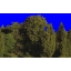 CS_FUNCASTLES_BTM