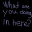 ISN
