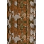 PREDATORKOSZALIN01
