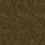 CARELSDEATHRUNWAD