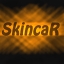 SKINCAR_FIRE