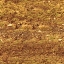 HLRALLY_DESERT