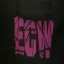 ECW1